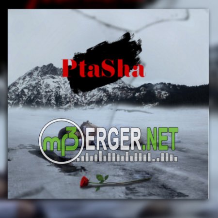 PtaSha - Ранила (2018)