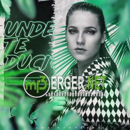 Ana Munteanu - Unde te duci (Paul Damixie Remix) (2018)