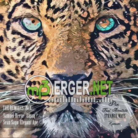 PIX. feat. Amatista - Strange Ways (Elegant Ape Remix) (2018)