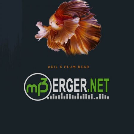 Adil & Plum Bear - Deep (2018)