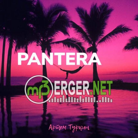 Артём Туркин - PANTERA (2018)