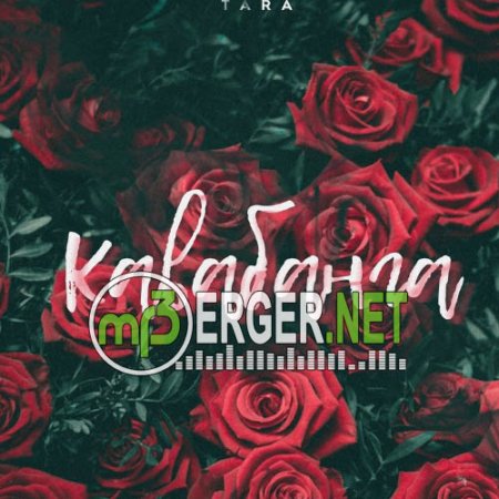 TARA202 - Кавабанга (2018)