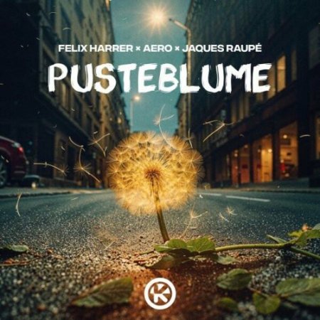 Felix Harrer feat. Aero x Jaques Raupe - Pusteblume