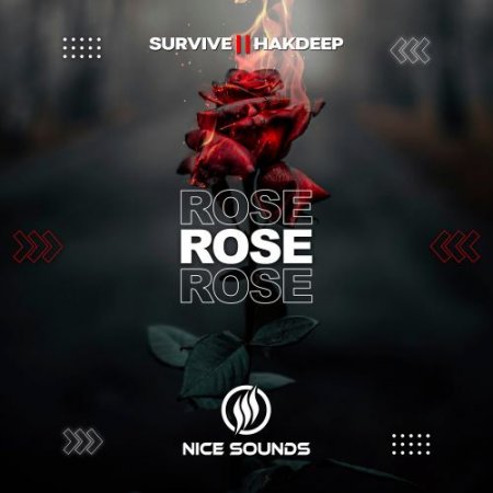 Survive, Hakdeep - Rose