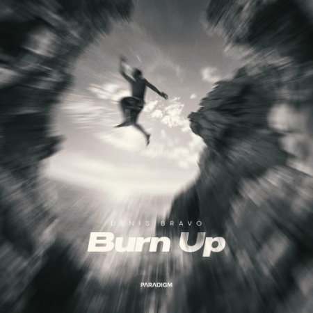 Denis Bravo - Burn Up