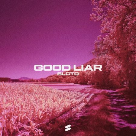 SLCTD - Good liar