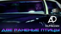 Arkadi Dumikyan - Две раненые птицы (2024)