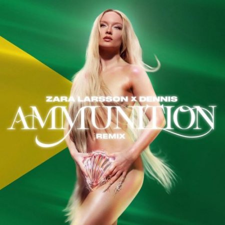 Zara Larsson & Dennis - Ammunition (DENNIS Remix) [Explicit]