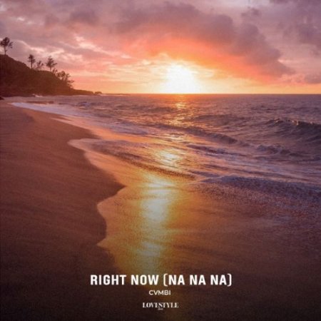 Cvmbi - Right Now (Na Na Na)