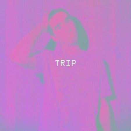 SAGI - TRIP