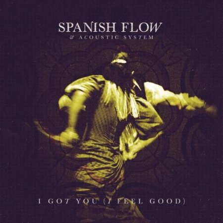 Spanish Flow & Acoustic System - I Got You (I Feel Good)