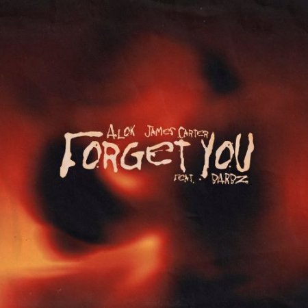Alok, James Carter, Barbz - Forget You