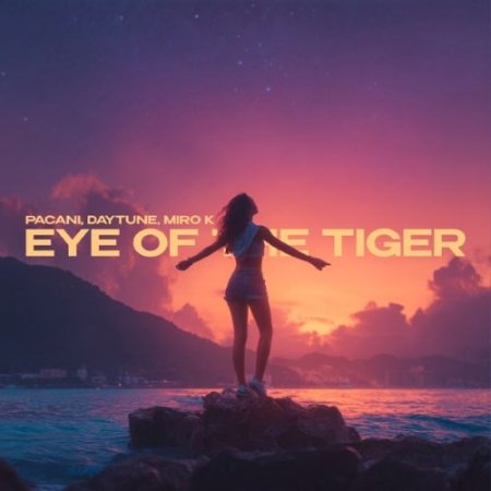 PACANI, Daytune & Miro k - Eye of the Tiger