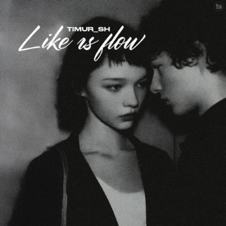 Timur_SH - Like Us Flow