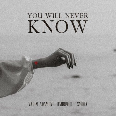 Vadim Adamov, Hardphol & SMOLA - You Will Never Know