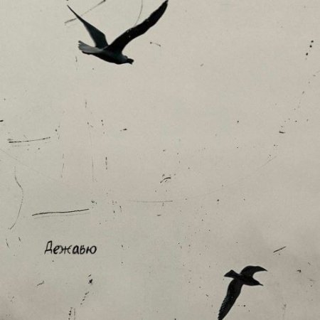 Navil' - Дежавю