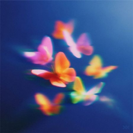 Twoxi & Poletay - Follow U