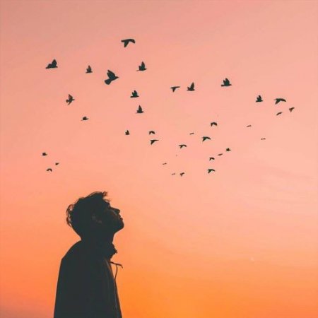 Отголоски улиц - поможет только