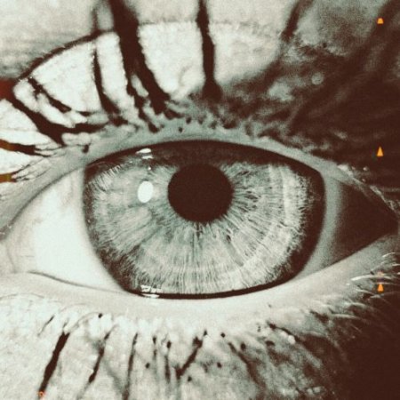 CLXW$, cogman - When u blink