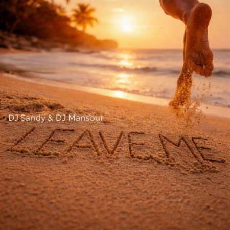 DJ Sandy & DJ Mansour - Leave Me